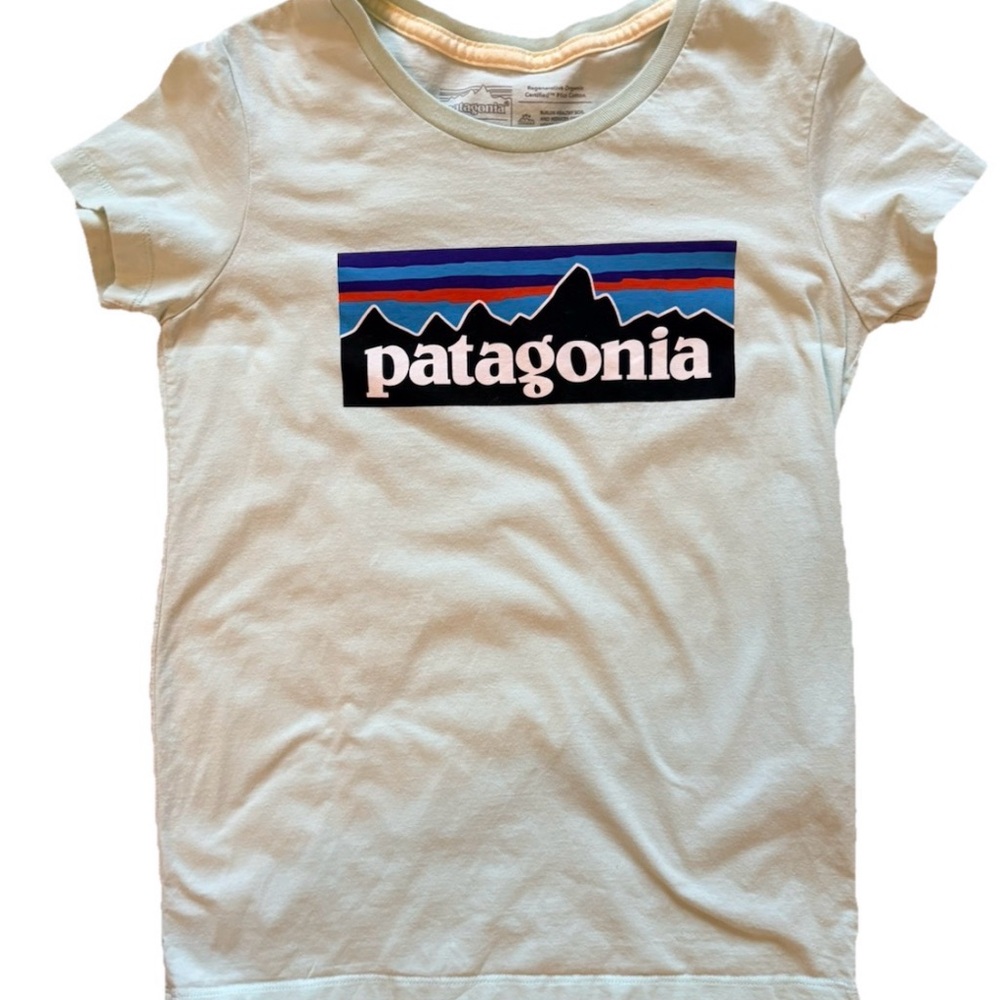 Patagonia Kids Youth XL 14 Graphic T Shirt Organic Cotton Light Green - Picture 3 of 11
